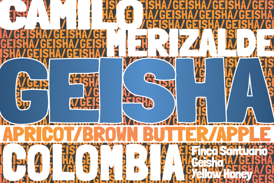 Colombia - Finca Santuario - Geisha - Yellow Honey