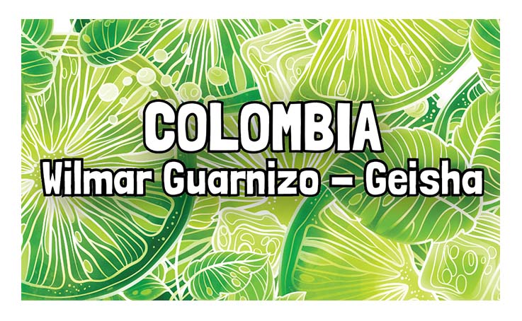 Colombia - Wilmar Guarnizo - Geisha - Washed Process