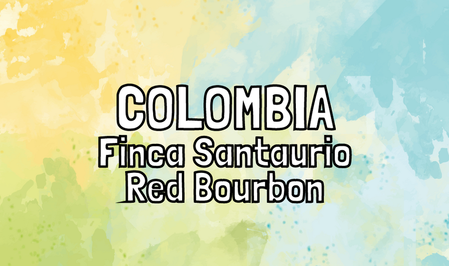 Colombia - Finca Santuario - Red Bourbon - Natural