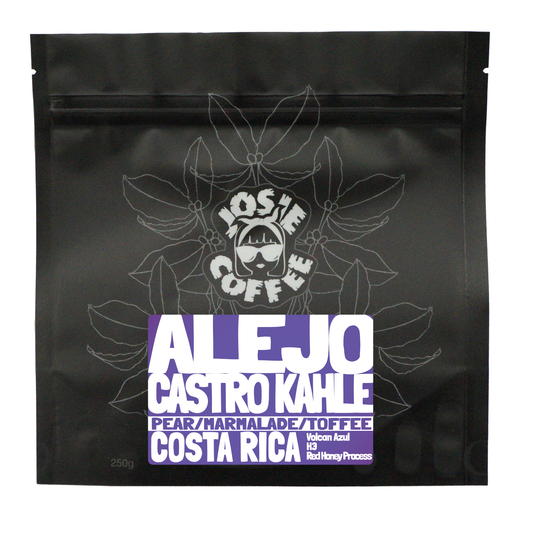 Costa Rica - Volcan Azul - H3 - Red Honey Process