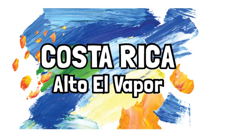Costa Rica - Alto El Vapor - Yellow Honey