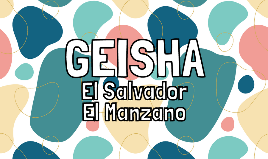 Geisha - El Salvador - El Manzano - natural