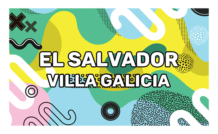 El Salvador - Villa Galicia - Honey Process