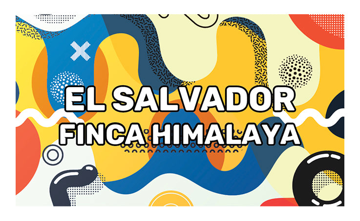 El Salvador - Finca Himalaya - Supersonic natural