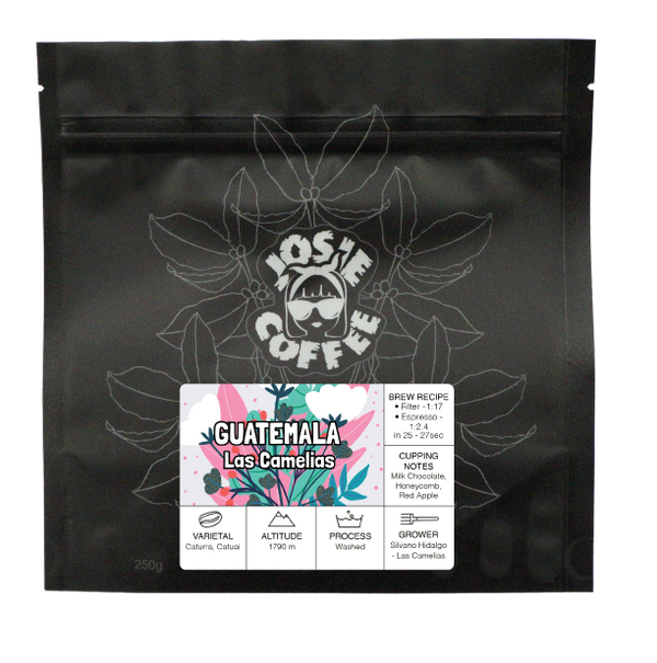 Guatemala - Las Camelias - Washed