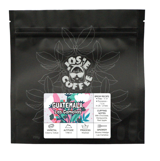 Guatemala - Las Camelias - Washed