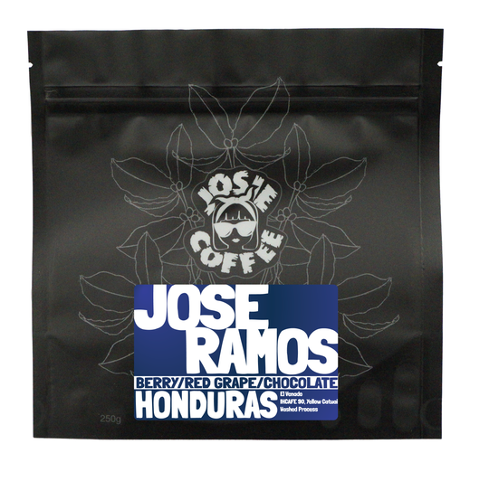 Honduras - Jose Ramos - Washed Process