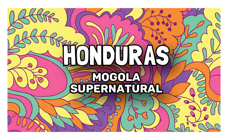 Honduras - Mogola - Supernatural