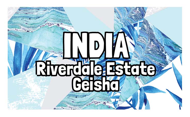 Geisha - India - Riverdale Estate - Washed Process