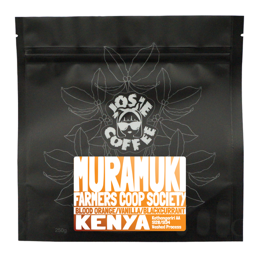 Kenya - Muramuki Co-Op - Kathangariri AA