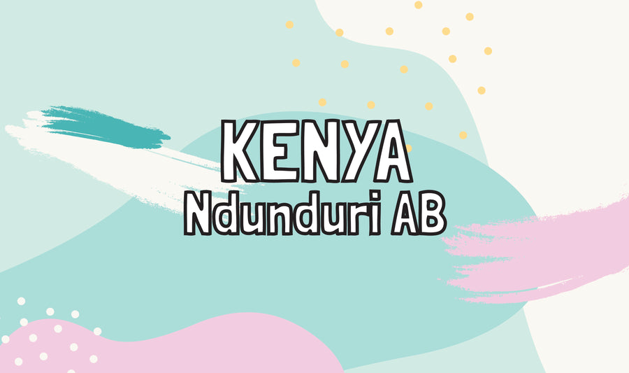 Kenya - Ndunduri AB - Washed Process