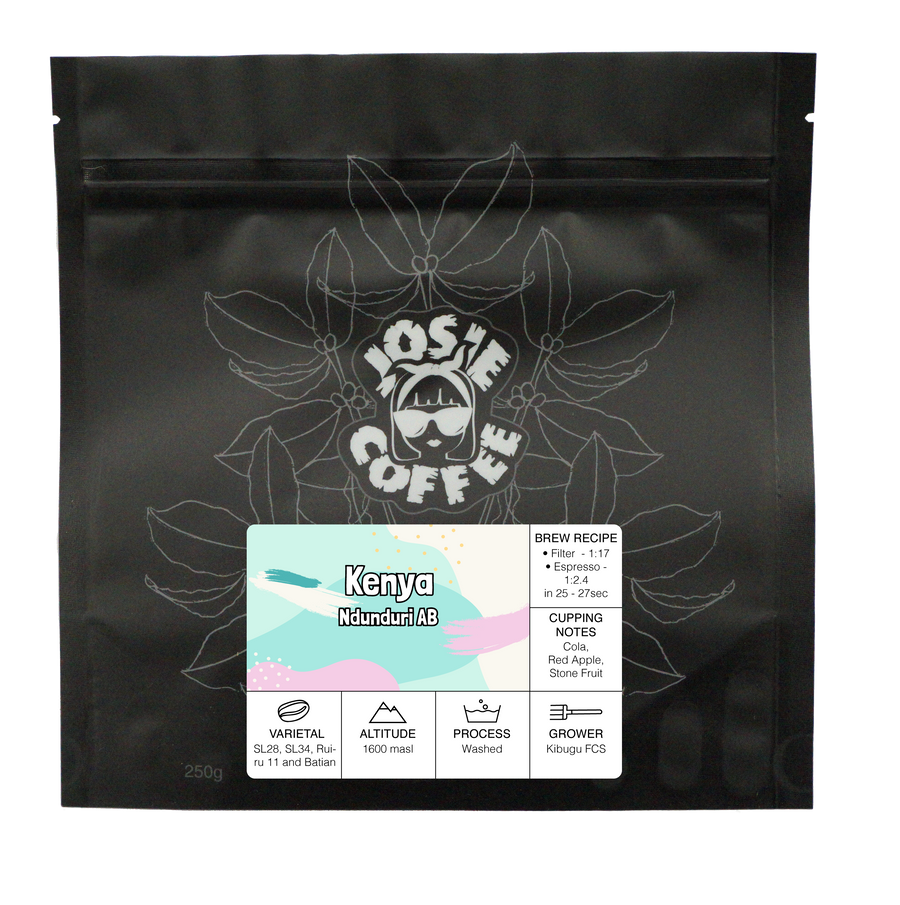 Kenya - Ndunduri AB - Washed Process