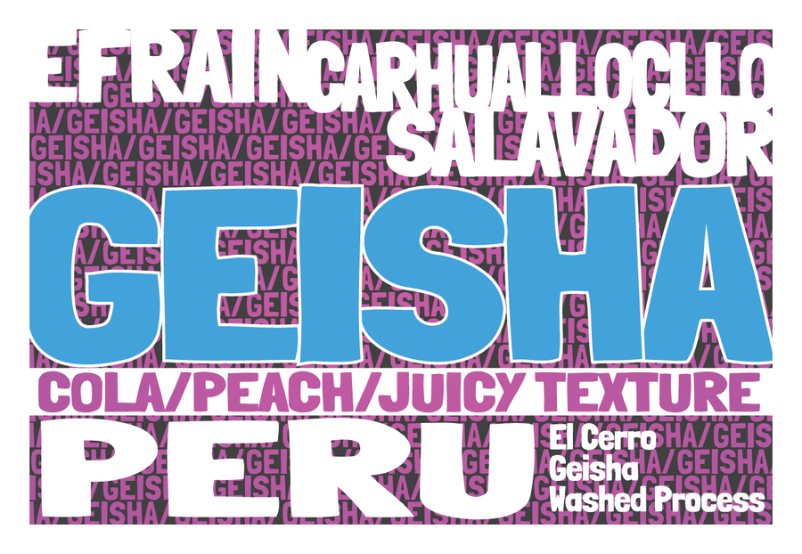 Peru - Efrain Carhuallocllo - Geisha - Washed Process